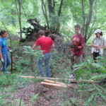 Community Service Choice. Campers will choose a community service option based on their interests. They will commit to this option on four different occasions during camp, providing meaningful service to their organization. They will very develop relationships with members of the organization and get to know their fellow Beyond Akeela volunteers quite well. Community service opportunities include: SLUG Garden @ Lawrence, Mosquito Hill Trail Maintenance, Habitat for Humanity, Food Bank, Nursing Home, Animal Rescue Community Service Choice. Campers will choose a community service option based on their interests. They will commit to this option on four different occasions during camp, providing meaningful service to their organization. They will very develop relationships with members of the organization and get to know their fellow Beyond Akeela volunteers quite well. Community service opportunities include: SLUG Garden @ Lawrence, Mosquito Hill Trail Maintenance, Habitat for Humanity, Food Bank, Nursing Home, Animal Rescue